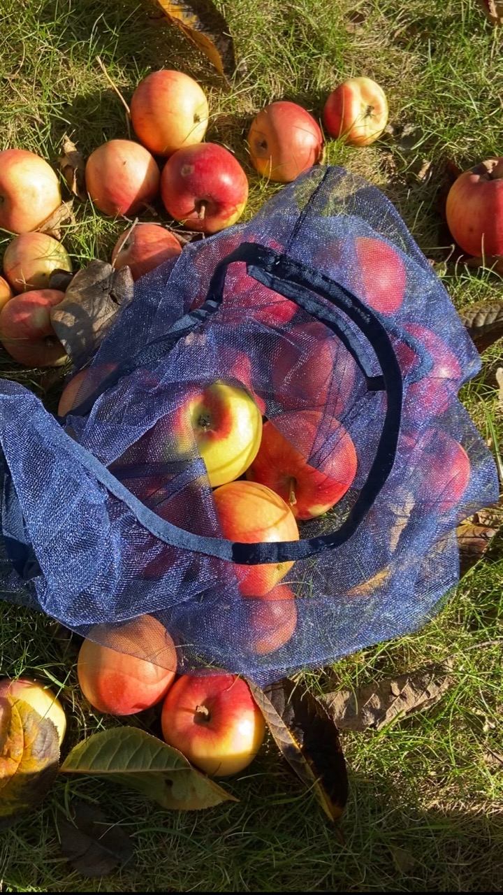 Fruit mesh, reusable shopper