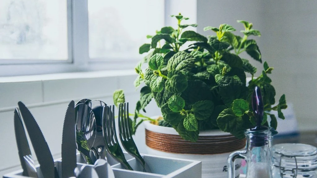 Capsule kitchen