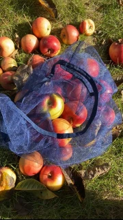 Fruit mesh, reusable shopper