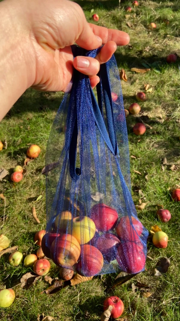 Fruit mesh, reusable shopper
